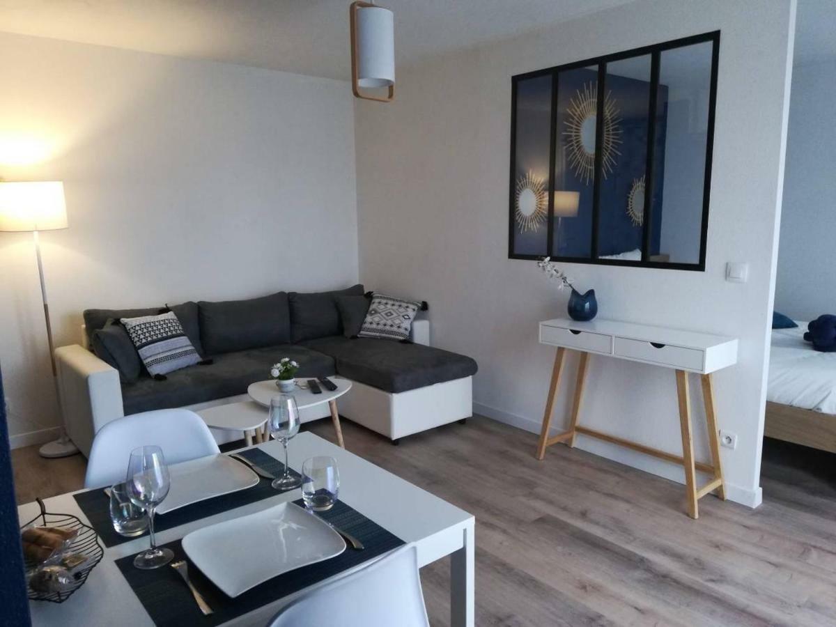 טולוז Appartement Cosy Proche Meteo France Et Airbus מראה חיצוני תמונה